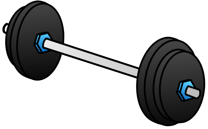 barbell with weights on both sides