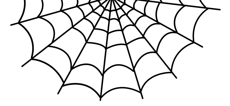 spider web